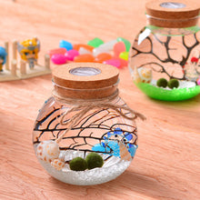 Load image into Gallery viewer, 11cm Round Glass Jar Terrarium with Colorful LED Light Cork
