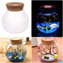 Load image into Gallery viewer, 11cm Round Glass Jar Terrarium with Colorful LED Light Cork
