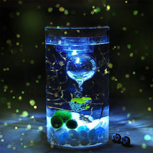 Load image into Gallery viewer, 12cm Glass Bottle Jar Hydroponic Terrarium Container Light LED Cork Stopper
