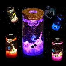 Load image into Gallery viewer, 12cm Glass Bottle Jar Hydroponic Terrarium Container Light LED Cork Stopper
