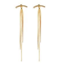 Load image into Gallery viewer, Fashion Simple Creative Snake Bone Chain Tassel Long Earrings Women Jewelry Gift
