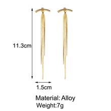 Load image into Gallery viewer, Fashion Simple Creative Snake Bone Chain Tassel Long Earrings Women Jewelry Gift
