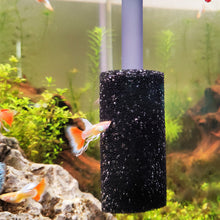 Load image into Gallery viewer, 5pcs Aquarium Pre Filter Sponge Fish Tank Inflow Inlet Filter Foam Roll For Prevent Small Fish Shrimp Being Sucked Filter Barrel Tool
