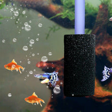 Load image into Gallery viewer, 5pcs Aquarium Pre Filter Sponge Fish Tank Inflow Inlet Filter Foam Roll For Prevent Small Fish Shrimp Being Sucked Filter Barrel Tool
