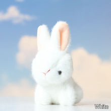Load image into Gallery viewer, 14cm Stuffed Long Ear Rabbit Soft Plush Toys Sleeping Cute Bunny Cartoon Animal Dolls Children Baby Birthday Gift

