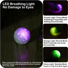 Load image into Gallery viewer, 2 Mode Smart Cat Toys Automatic Rolling Ball with Light Electric Cat Interactive Toys Cats Training Self-moving Kitten Toys for Indoor Playing
