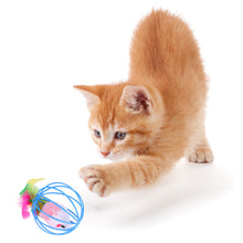 Load image into Gallery viewer, 20pcs Cat Teaser Wand with Replacement Pendant Pet Interactive Feather Toys Kitten Simulated Mouse Catching Toy Cats Daily Accessories

