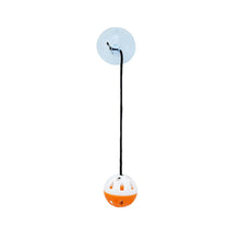 Load image into Gallery viewer, Cat Hanging Interactive Toy Cat Spring Ball Toy with Bell Kitten Funny Teaser Toy Training Toys Pet Daily Supplies
