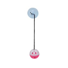 Load image into Gallery viewer, Cat Hanging Interactive Toy Cat Spring Ball Toy with Bell Kitten Funny Teaser Toy Training Toys Pet Daily Supplies
