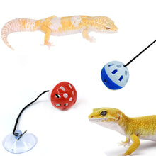 Load image into Gallery viewer, Cat Hanging Interactive Toy Cat Spring Ball Toy with Bell Kitten Funny Teaser Toy Training Toys Pet Daily Supplies
