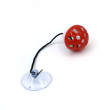 Load image into Gallery viewer, Cat Hanging Interactive Toy Cat Spring Ball Toy with Bell Kitten Funny Teaser Toy Training Toys Pet Daily Supplies
