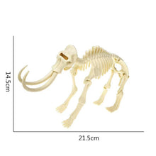 Load image into Gallery viewer, Simulation Dinosaur Fossil Plastic Skeleton Model Children's DIY Handmade Dinosaur Skeleton Assembly Kit Tyrannosaurus Rex Model
