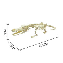 Load image into Gallery viewer, Simulation Dinosaur Fossil Plastic Skeleton Model Children's DIY Handmade Dinosaur Skeleton Assembly Kit Tyrannosaurus Rex Model
