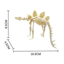 Load image into Gallery viewer, Simulation Dinosaur Fossil Plastic Skeleton Model Children's DIY Handmade Dinosaur Skeleton Assembly Kit Tyrannosaurus Rex Model
