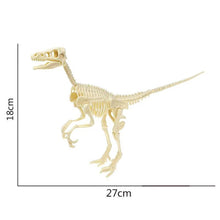 Load image into Gallery viewer, Simulation Dinosaur Fossil Plastic Skeleton Model Children's DIY Handmade Dinosaur Skeleton Assembly Kit Tyrannosaurus Rex Model
