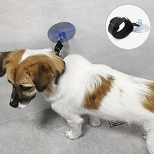 Load image into Gallery viewer, Pet Bath Fixation Strap with Sucktion Cup Cat Dog Shower Restraint Leash Anti Scratch Escaping Leash Pet Bathing Grooming Tool Accessories

