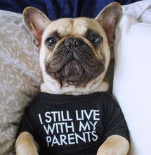 Load image into Gallery viewer, Fashion Letters Printed Summer Dog T-shirt Pure Cotton Dog Clothes for French Bulldog Soft Breathable Pet Costume
