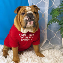 Load image into Gallery viewer, Fashion Letters Printed Summer Dog T-shirt Pure Cotton Dog Clothes for French Bulldog Soft Breathable Pet Costume

