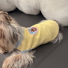 Load image into Gallery viewer, Spring Summer Pet Hoodie Puppy Dog Cat Sweater Shirt Vest Skirt Cartoon Teddy Yorkshire Pomeranian Dog Clothes
