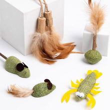 Load image into Gallery viewer, Catnip Cat Toy Safety Molar Teeth Cleaning Stick Cleaning Teeth Cat Snacks Kitten Toys Pet Supplies

