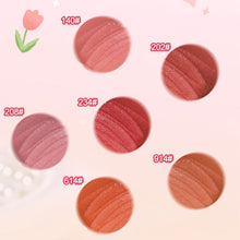 Load image into Gallery viewer, Velvet Pink Brown Lip Glaze Matte Liquid Lipstick Nude Red Lip Mud Cheek Rouge Tint Women Cosmetics
