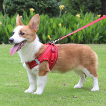 Load image into Gallery viewer, Dog Cat Harness Set Pet Adjustable Walking Reflective Vest with Leash Breathable Mesh Harness for Small Medium Dog
