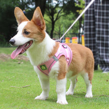 Load image into Gallery viewer, Dog Cat Harness Set Pet Adjustable Walking Reflective Vest with Leash Breathable Mesh Harness for Small Medium Dog
