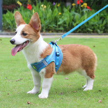 Load image into Gallery viewer, Dog Cat Harness Set Pet Adjustable Walking Reflective Vest with Leash Breathable Mesh Harness for Small Medium Dog
