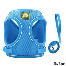 Load image into Gallery viewer, Dog Cat Harness Set Pet Adjustable Walking Reflective Vest with Leash Breathable Mesh Harness for Small Medium Dog

