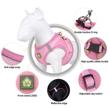 Load image into Gallery viewer, Dog Cat Harness Set Pet Adjustable Walking Reflective Vest with Leash Breathable Mesh Harness for Small Medium Dog
