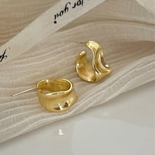Load image into Gallery viewer, Geometric Curved Alloy Earrings Fashionable Temperamental Irregular Ear Studs Earrings Jewelry Accessories for Women
