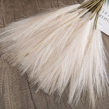 Load image into Gallery viewer, 6Pcs Artificial Fluffy Pampas Grass Bouquet Wedding Party Decoration Boho Fake Reed Plant Flowers for DIY Room Home Decor
