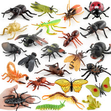 Load image into Gallery viewer, 1Pc Simulated Wild Animal Insects Figurine Beetles Spiders Mantis Longicorn Prank Educational Toy Model Action Figure Children's Toy
