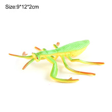 Load image into Gallery viewer, 1Pc Simulated Wild Animal Insects Figurine Beetles Spiders Mantis Longicorn Prank Educational Toy Model Action Figure Children's Toy
