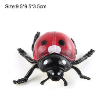 Load image into Gallery viewer, 1Pc Simulated Wild Animal Insects Figurine Beetles Spiders Mantis Longicorn Prank Educational Toy Model Action Figure Children's Toy
