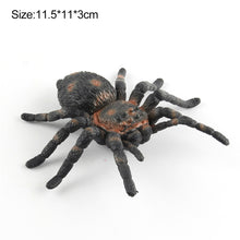 Load image into Gallery viewer, 1Pc Simulated Wild Animal Insects Figurine Beetles Spiders Mantis Longicorn Prank Educational Toy Model Action Figure Children's Toy
