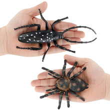 Load image into Gallery viewer, 1Pc Simulated Wild Animal Insects Figurine Beetles Spiders Mantis Longicorn Prank Educational Toy Model Action Figure Children's Toy
