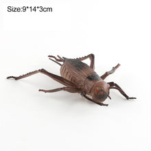Load image into Gallery viewer, 1Pc Simulated Wild Animal Insects Figurine Beetles Spiders Mantis Longicorn Prank Educational Toy Model Action Figure Children's Toy
