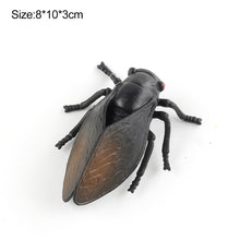 Load image into Gallery viewer, 1Pc Simulated Wild Animal Insects Figurine Beetles Spiders Mantis Longicorn Prank Educational Toy Model Action Figure Children's Toy
