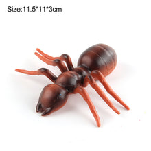 Load image into Gallery viewer, 1Pc Simulated Wild Animal Insects Figurine Beetles Spiders Mantis Longicorn Prank Educational Toy Model Action Figure Children's Toy
