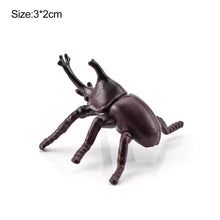 Load image into Gallery viewer, 1Pc Simulated Wild Animal Insects Figurine Beetles Spiders Mantis Longicorn Prank Educational Toy Model Action Figure Children's Toy

