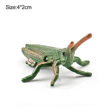 Load image into Gallery viewer, 1Pc Simulated Wild Animal Insects Figurine Beetles Spiders Mantis Longicorn Prank Educational Toy Model Action Figure Children's Toy
