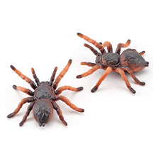 Load image into Gallery viewer, 1Pc Simulated Wild Animal Insects Figurine Beetles Spiders Mantis Longicorn Prank Educational Toy Model Action Figure Children's Toy
