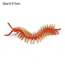 Load image into Gallery viewer, 1Pc Simulated Wild Animal Insects Figurine Beetles Spiders Mantis Longicorn Prank Educational Toy Model Action Figure Children's Toy
