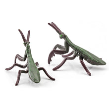 Load image into Gallery viewer, 1Pc Simulated Wild Animal Insects Figurine Beetles Spiders Mantis Longicorn Prank Educational Toy Model Action Figure Children's Toy
