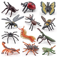 Load image into Gallery viewer, 1Pc Simulated Wild Animal Insects Figurine Beetles Spiders Mantis Longicorn Prank Educational Toy Model Action Figure Children's Toy

