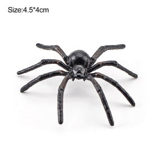 Load image into Gallery viewer, 1Pc Simulated Wild Animal Insects Figurine Beetles Spiders Mantis Longicorn Prank Educational Toy Model Action Figure Children's Toy
