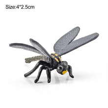 Load image into Gallery viewer, 1Pc Simulated Wild Animal Insects Figurine Beetles Spiders Mantis Longicorn Prank Educational Toy Model Action Figure Children's Toy
