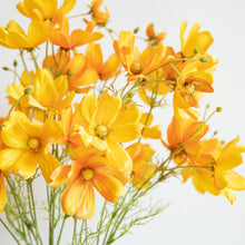 Load image into Gallery viewer, 3Forks 6 Heads Bossy Gesang Flower Branch Silk Artificial Flowers Home Wedding Decoration Flores Artificial Flower
