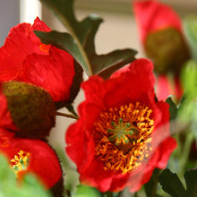 Load image into Gallery viewer, 1Pc Poppies Artificial Flower Simulation Silk Fake Flower For Wedding Party Home Decorative Flowers With Leaves
